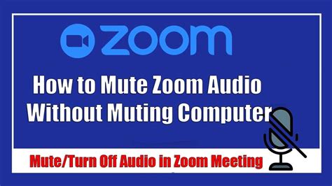 Turn Off Zoom Audio Without Mutating Computer